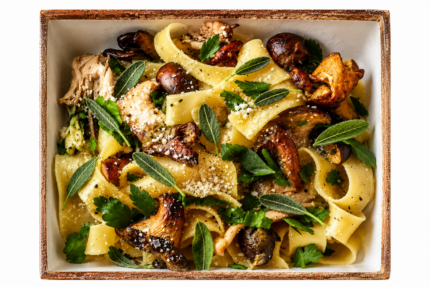 Гъбите – отвъд познатото - 02.02.2027